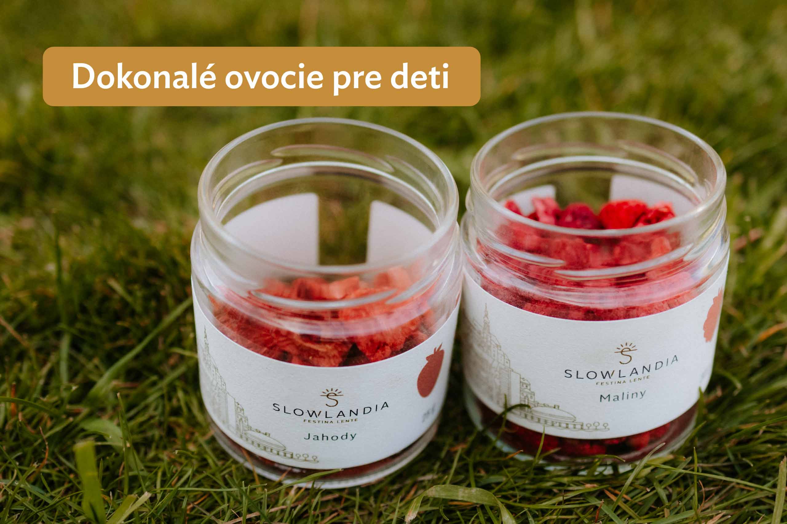 MDD2025_ovocie2_130525